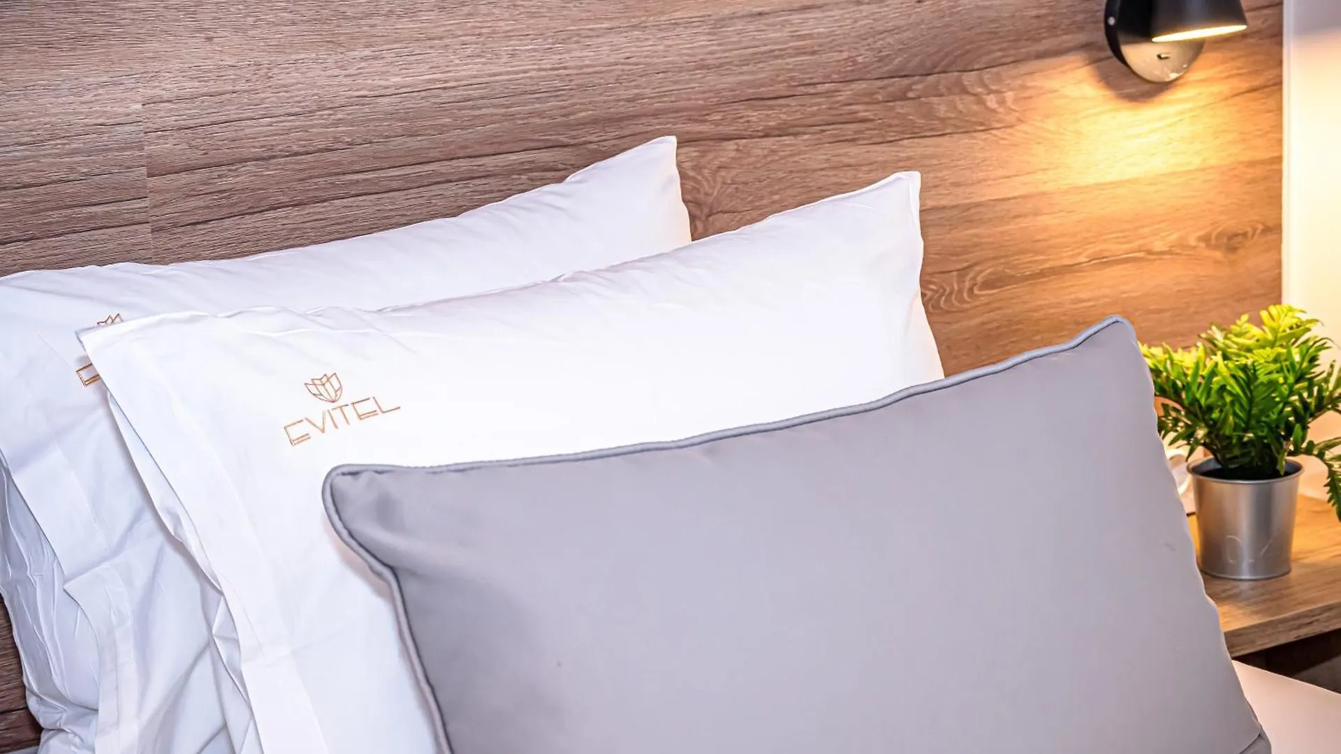 Evitel Luxury Living Aparthotel Hanioti